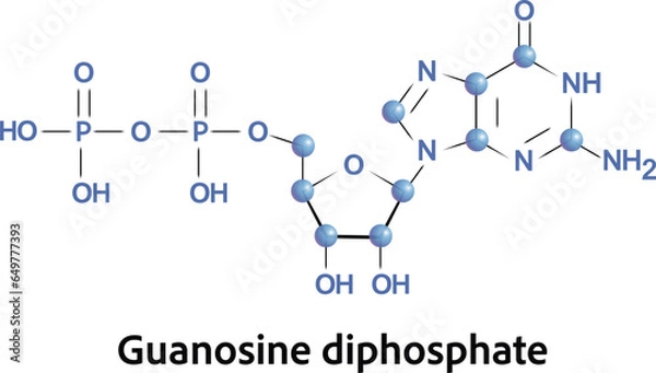 Fototapeta chemical structure of molecule guanosine diphosphate