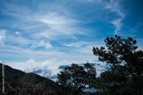 Obraz clouds over the forest