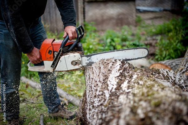 Fototapeta man cutting trees using an electrical chainsaw