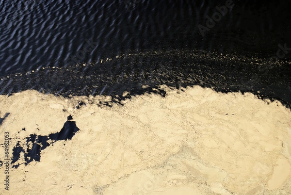 Obraz Draufsicht Pollen