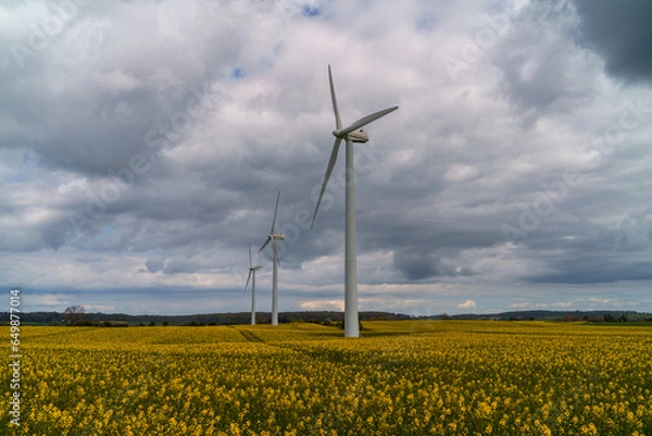 Obraz Mons Klint - Morze Bałtyckie - 2023