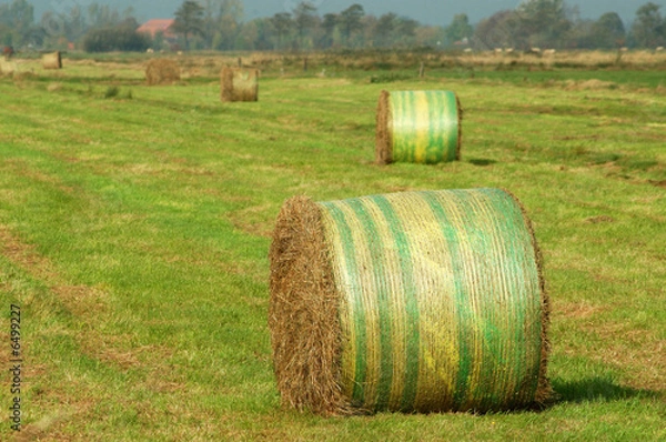 Fototapeta Heuernte