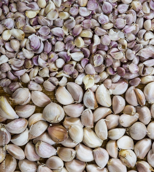 Obraz garlic