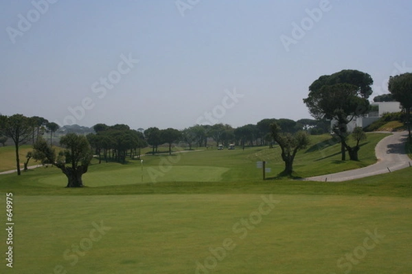 Obraz campo de golf