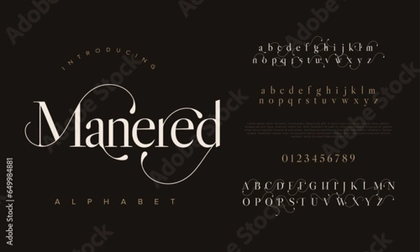 Obraz Manered premium luxury elegant alphabet letters and numbers. Elegant wedding typography classic serif font decorative vintage retro. Creative vector illustration