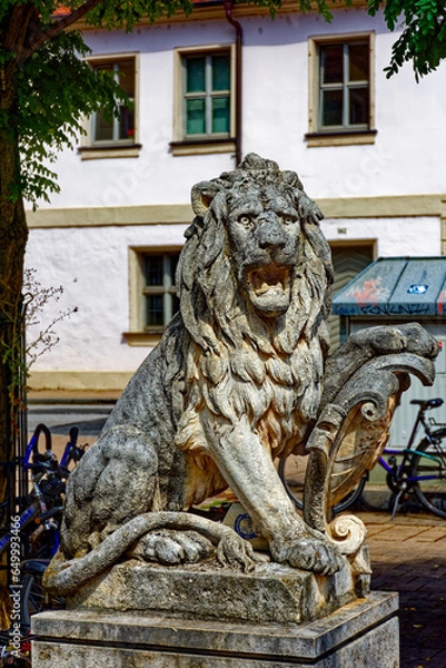 Fototapeta A wonderful warm day in the greenhouse of Erlangen.