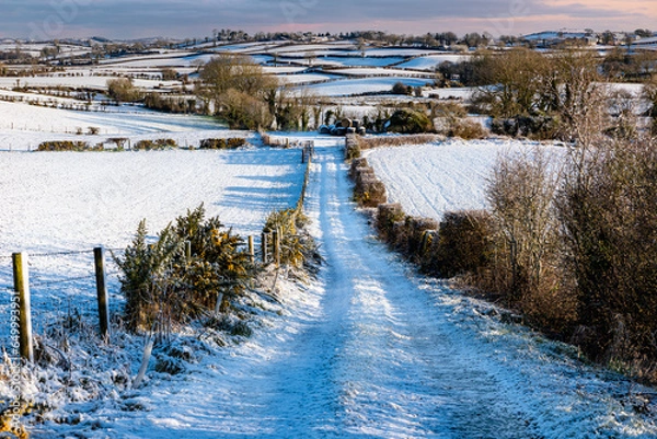Obraz road in winter