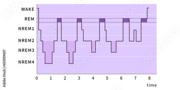 Obraz 睡眠のリズム
