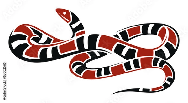 Fototapeta Scarlet King Snake