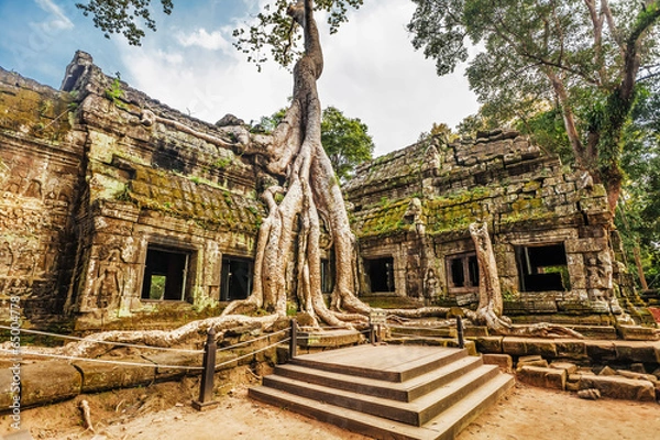 Obraz Ta Prohm Temple, Angkor, Cambodia