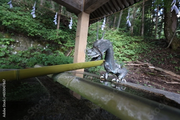 Obraz 手水舎の龍