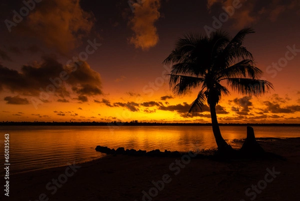 Obraz Red rainbow in palm trees