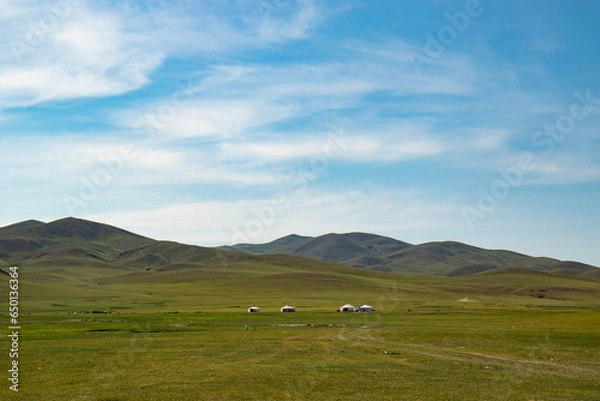 Obraz Yurts in meadow