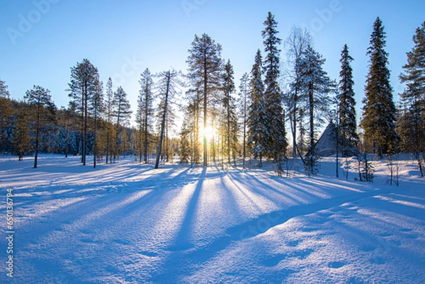 Obraz Sun in frozen forest