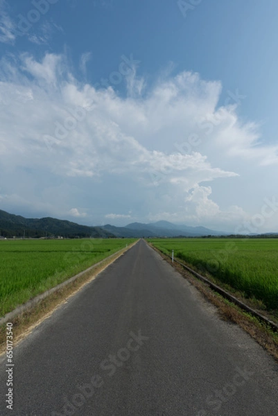 Obraz 田んぼと田舎道