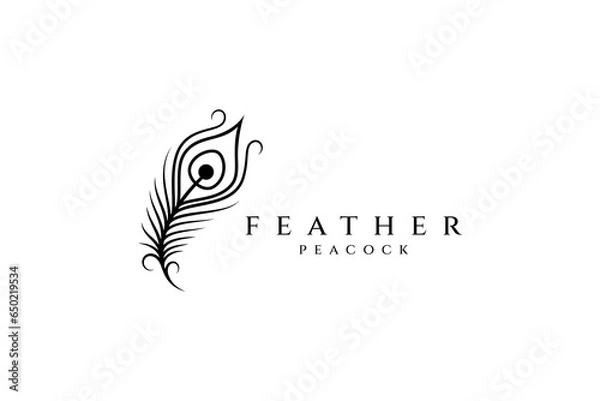 Obraz Beautiful peacock feather logo design