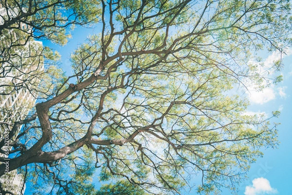 Obraz hawaii landscape