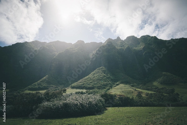 Obraz KUALOA クアロア