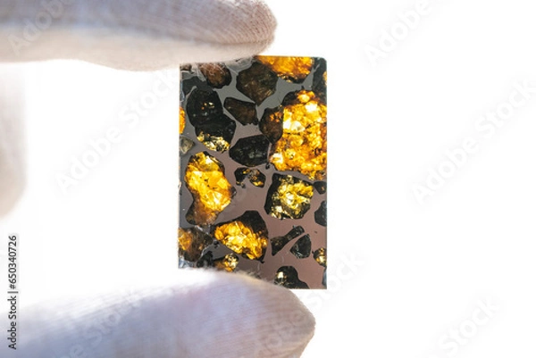 Obraz Meteorite, pallasite, meteor slice, space 