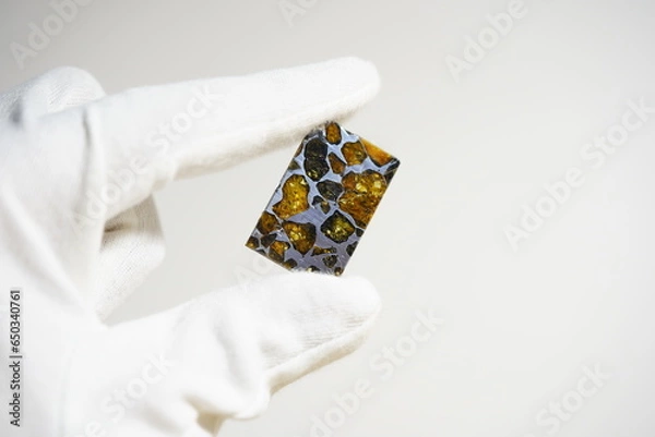 Obraz Meteorite, pallasite, meteor slice, space 