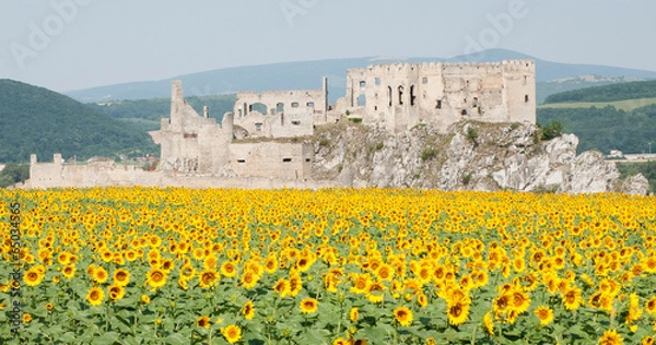 Obraz Beckov Castle