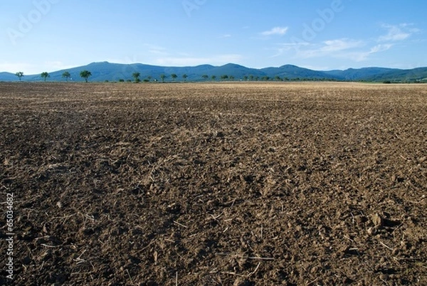 Obraz Field