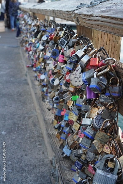 Fototapeta locks on the bridge