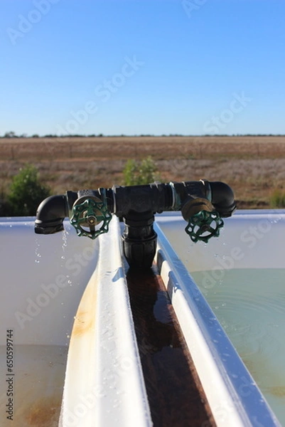 Fototapeta Taking a bath in the Australian outback using hot water from the artesian basin. 