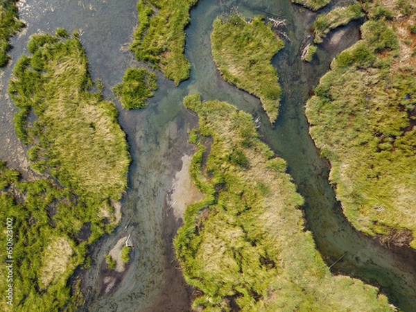 Fototapeta Nature abstract pattern of swampy wetland creek