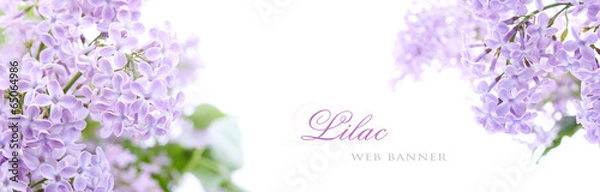 Obraz Lilac kwiaty