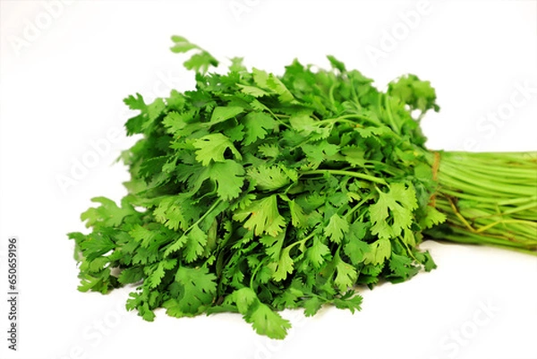 Fototapeta bunch of parsley isolated on white