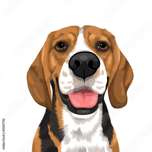 Obraz beagle dog portraits 