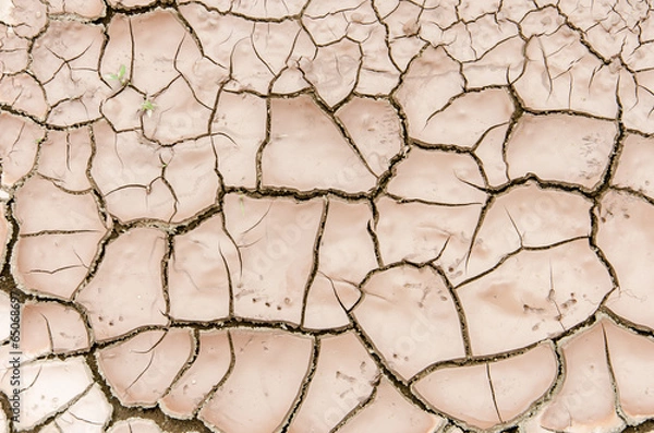 Obraz Soil cracks