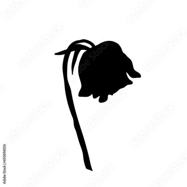 Fototapeta a wilted flower