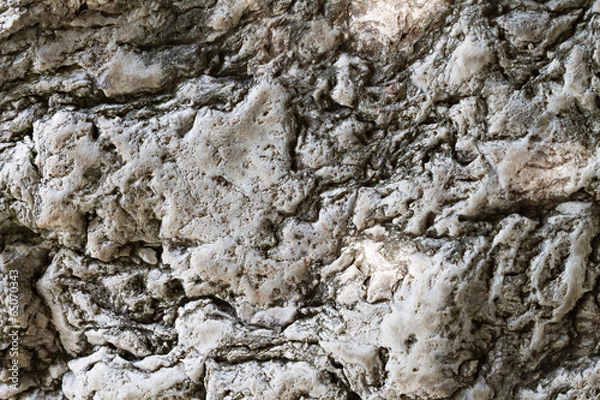 Fototapeta grunge, unusual, weathered stone background texture