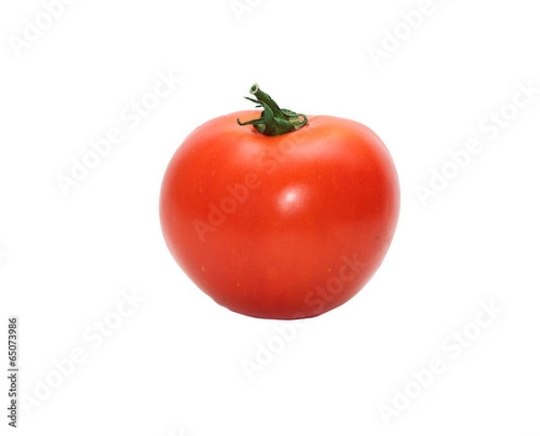 Obraz ripe tomato