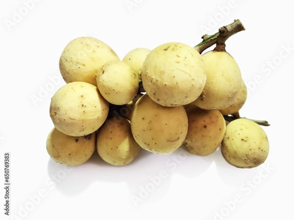 Fototapeta Longkong is Thai fruit grown in the south. isolated on white background