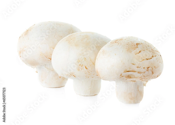 Fototapeta mushrooms champignons isolated