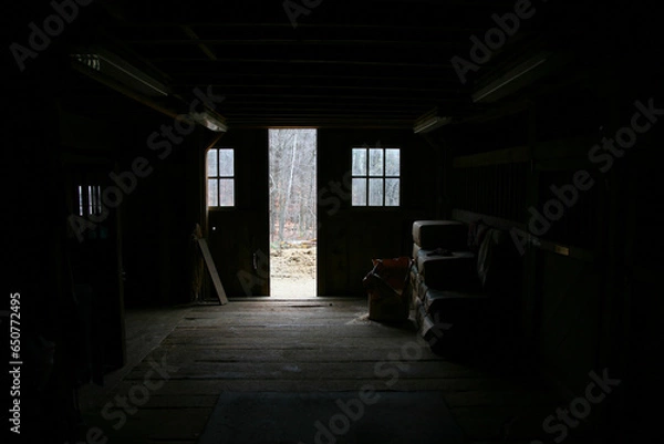 Fototapeta Inside the Shed