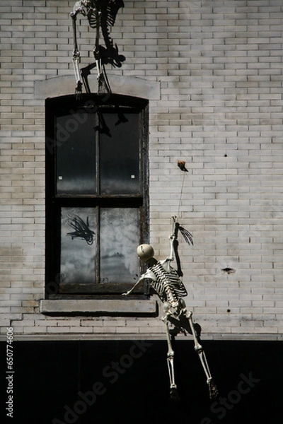 Fototapeta Skeleton Zombie Invasion