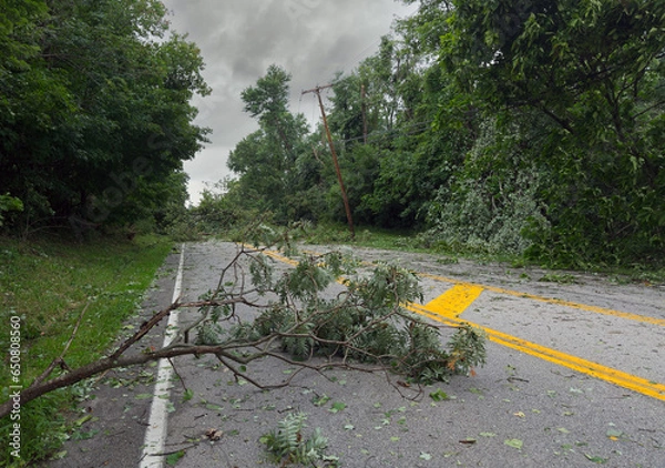 Fototapeta A downed tree and branches block a street in an Ohio town after a heavy storm during the night.