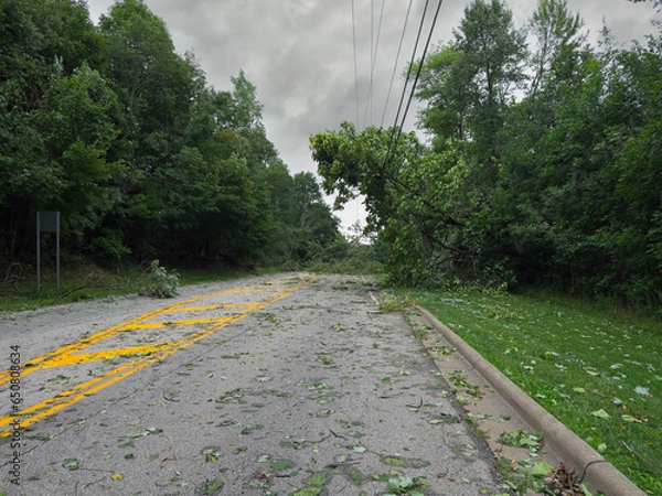 Fototapeta A downed tree and branches block a street in an Ohio town after a heavy storm during the night.