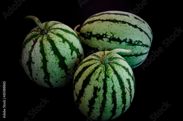 Obraz Melon in the Dark