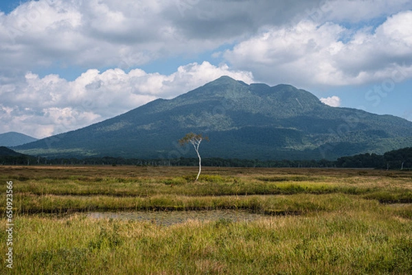 Fototapeta 初秋の尾瀬ヶ原