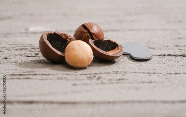 Fototapeta Close-up of macadamia nuts on a gray tree background, the concept of superfoods and healthy nutrition, a picture from above, a copy space for business