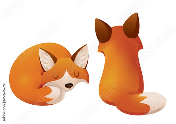 Obraz Two Foxes