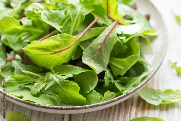 Fototapeta Mix salad leaves