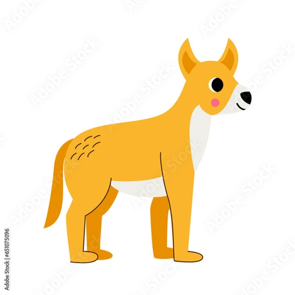 Obraz Vector picture of cute dingo dog isolated on white background.