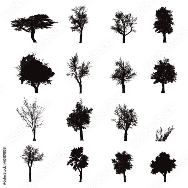 Fototapeta Set of vector silhouette of trees on white background. Symbol of season forest and nature.