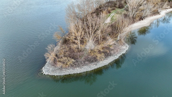Obraz fish in the river